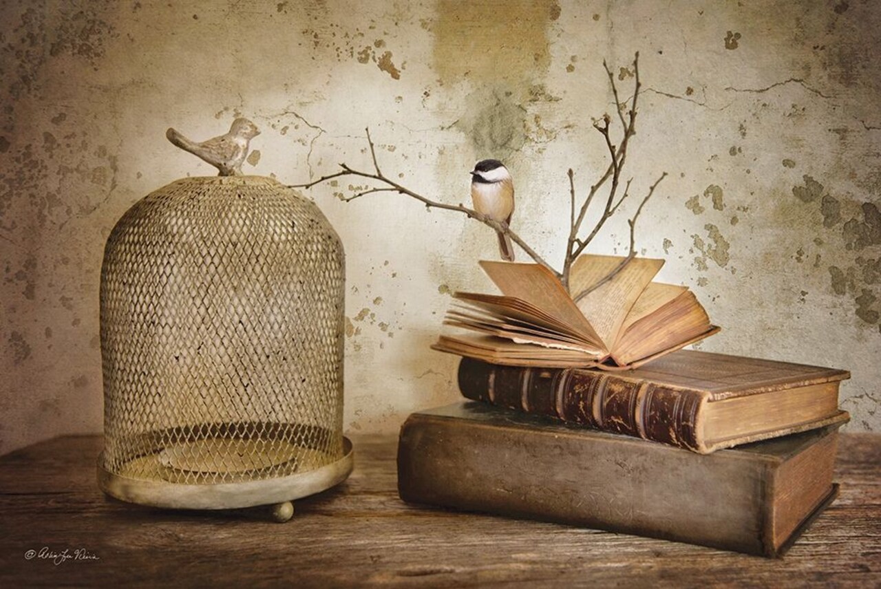 Bird Watching Poster Print by Robin-Lee Vieira - Item # VARPDXRLV192